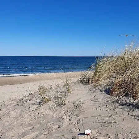 Alize 4 Mit Meerblick Boergerende-Rethwisch