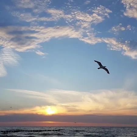 Alize 4 Mit Meerblick Apartment Boergerende-Rethwisch